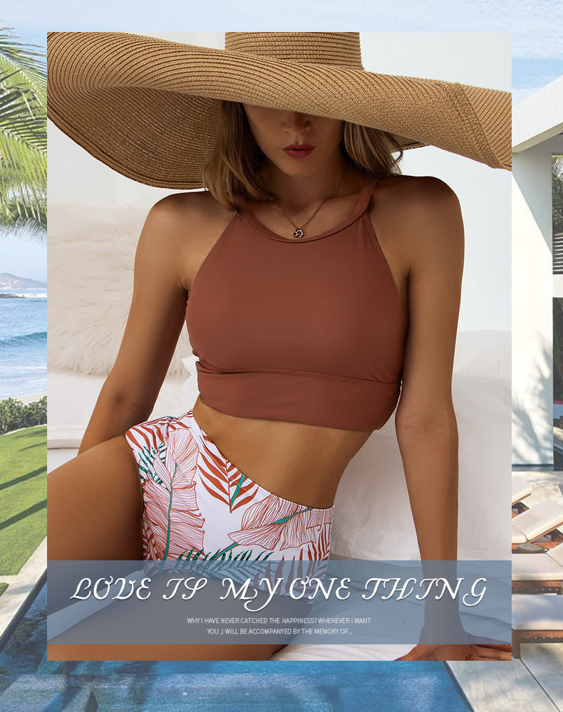 c50c2e6f504880059d4fded3ee5e0243